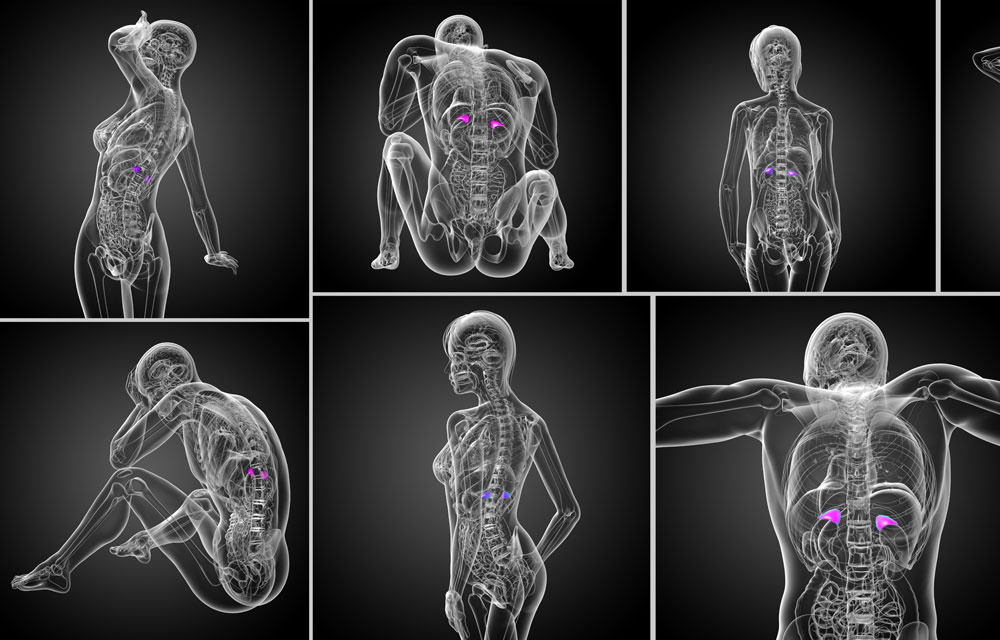 get expert holistic iridology from eyesbyron.com